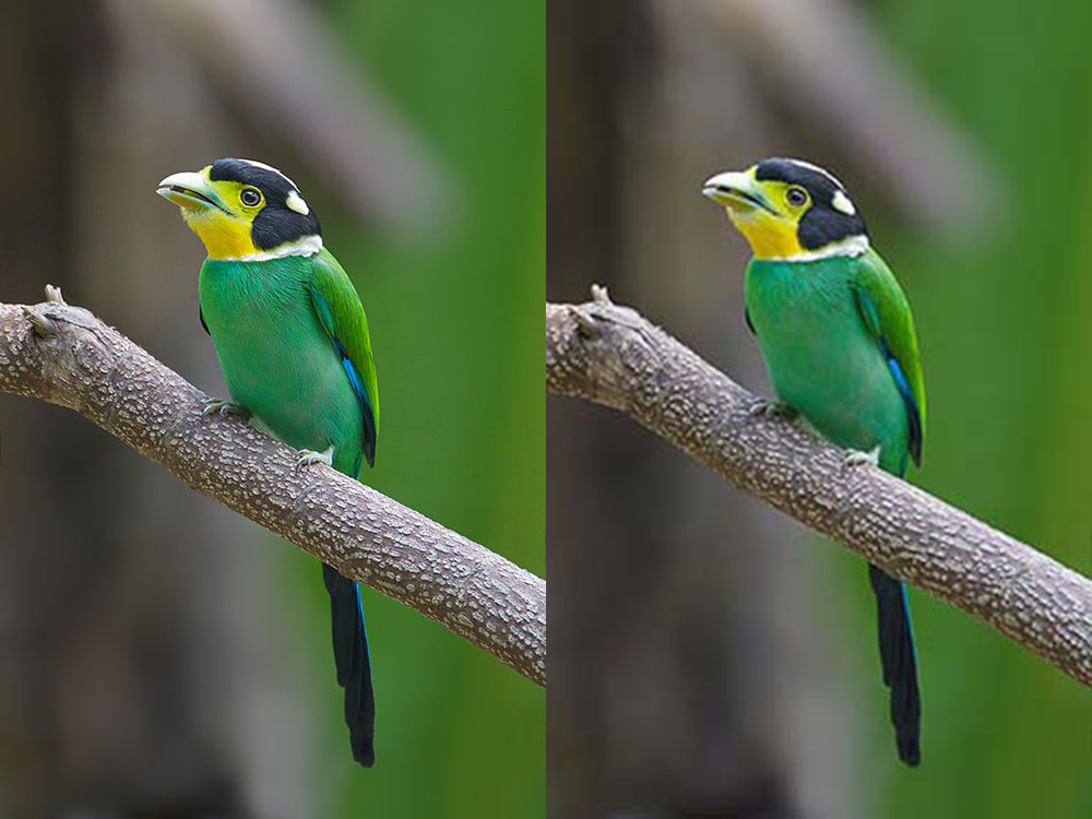 Description of image